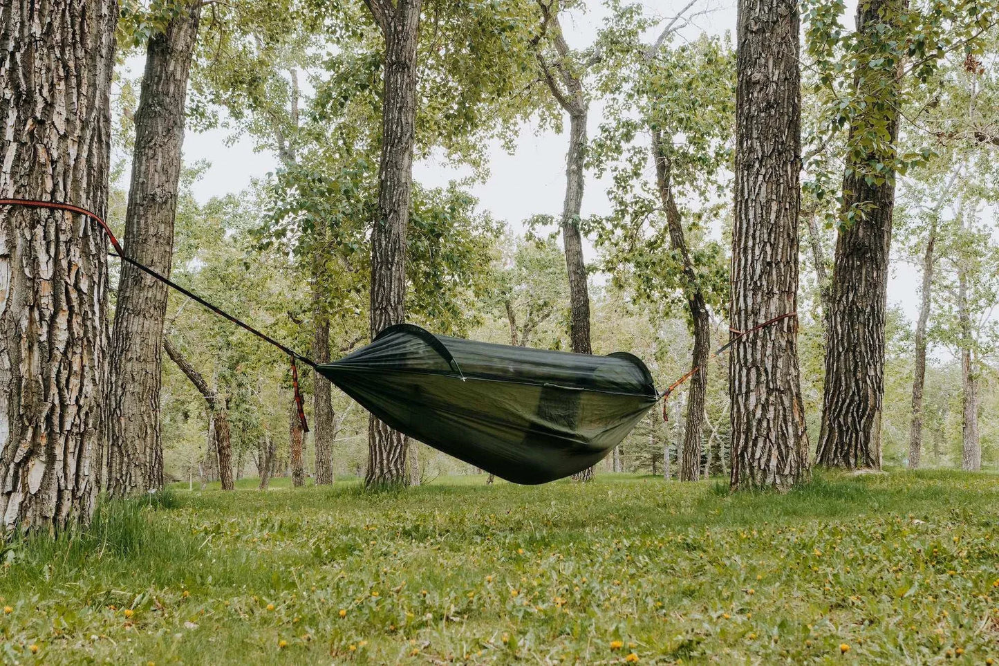 Camping Hammock with Bug Net | Lightweight for Hiking & Backpacking - Omnixa